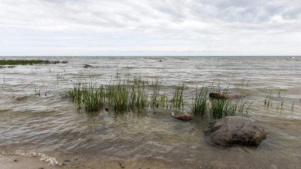 Baltık Denizi kıyısında dalgaları