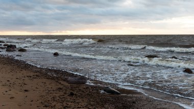 Fırtına geniş dalga Baltık Denizi kıyısında