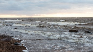 Fırtına geniş dalga Baltık Denizi kıyısında