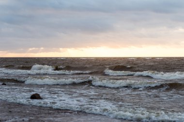 Fırtına geniş dalga Baltık Denizi kıyısında