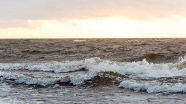 Fırtına geniş dalga Baltık Denizi kıyısında