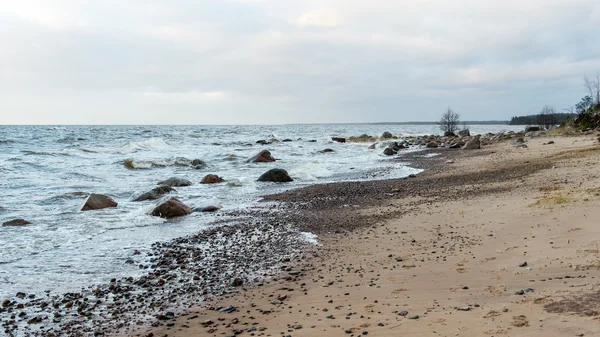 Storm stor våg på stranden av Östersjön — Stockfoto