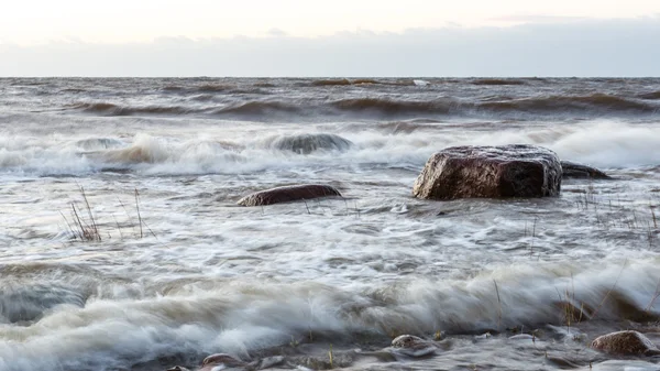 Tempête grande vague sur le rivage de la mer Baltique — Photo