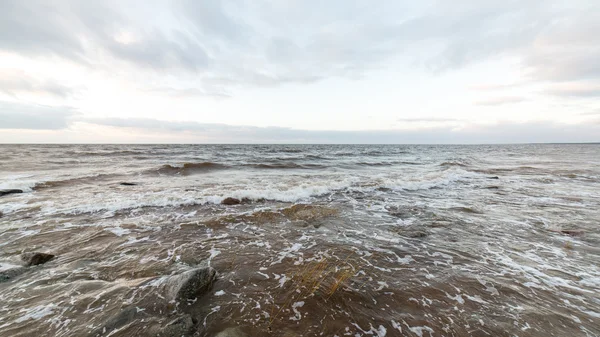 Tempête grande vague sur le rivage de la mer Baltique — Photo