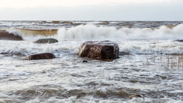 Vihar nagy hullám, a Balti-tenger partján — Stock Fotó
