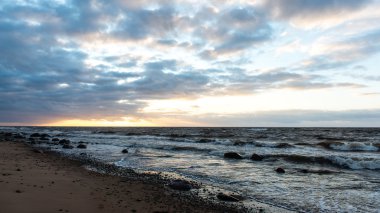 Fırtına geniş dalga Baltık Denizi kıyısında