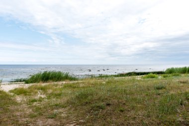 Baltık Denizi kıyısında dalgaları