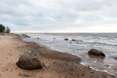 Fırtına geniş dalga Baltık Denizi kıyısında