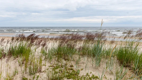 Golven op de kust van de Baltische Zee — Stockfoto