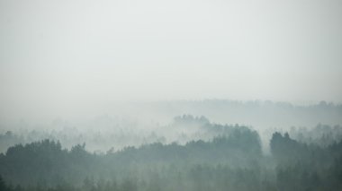 Sisli ormanın panoramik görünüm