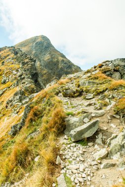 Slovakya'daki Tatra Dağları'nın görünümü
