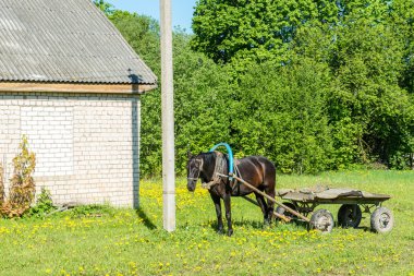 Yaz atı ile binalarda kırsal