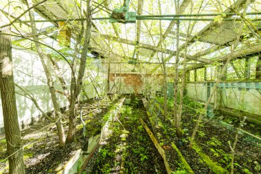 terk edilmiş ülke çiftlik bina