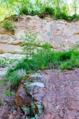 kumtaşı kayalıklarla Gauja Milli Parkı