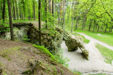kumtaşı kayalıklarla Gauja Milli Parkı