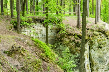 kumtaşı kayalıklarla Gauja Milli Parkı