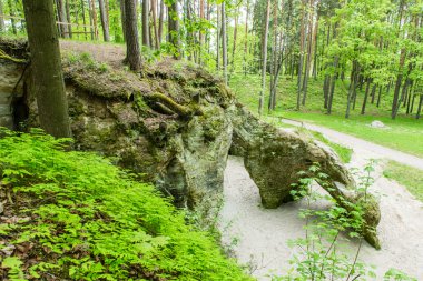 kumtaşı kayalıklarla Gauja Milli Parkı
