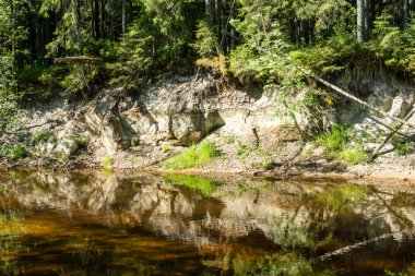 kumtaşı kayalıklarla Gauja Milli Parkı