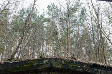 terk edilmiş elektro Gar binası