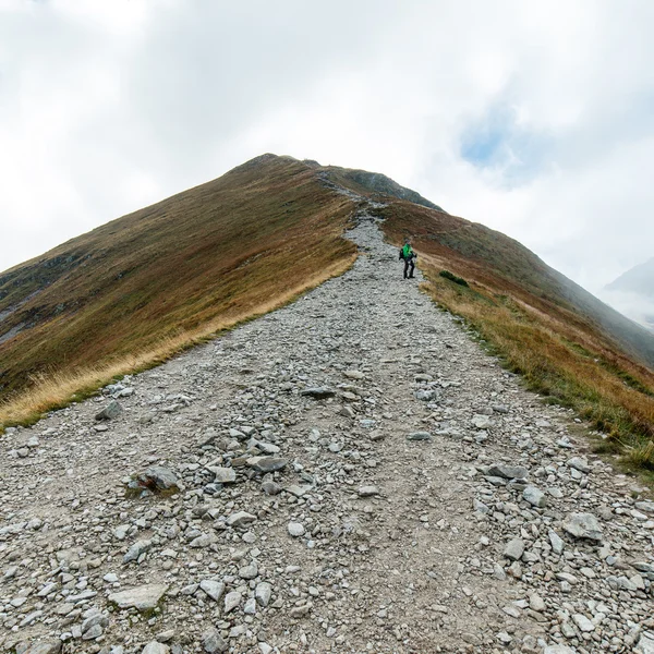 Slovakya'daki Tatra Dağları'nın görünümü — Stok fotoğraf