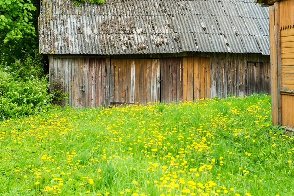 Yaz aylarında kırsal binalar — Stok fotoğraf