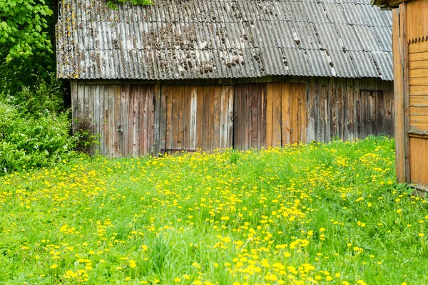 Заміські будівлі влітку — стокове фото