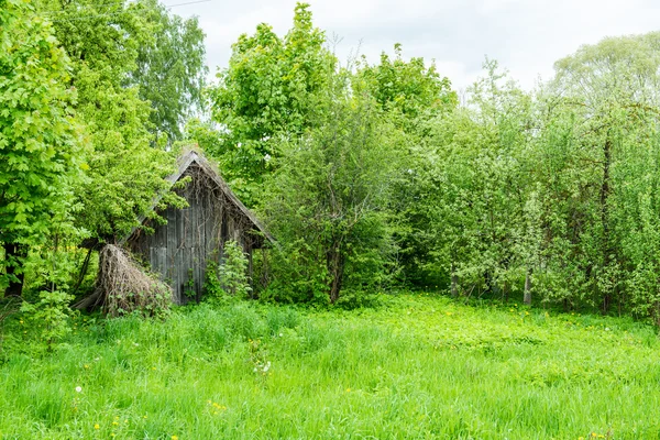 Vidéki épület nyáron — Stock Fotó