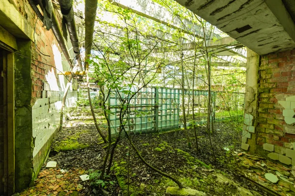 abandoned country farm building