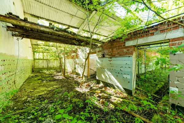 abandoned country farm building
