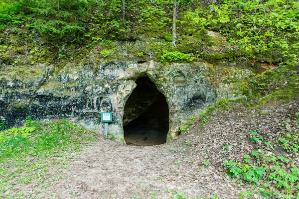 Homokkő sziklák a Gauja Nemzeti park — Stock Fotó