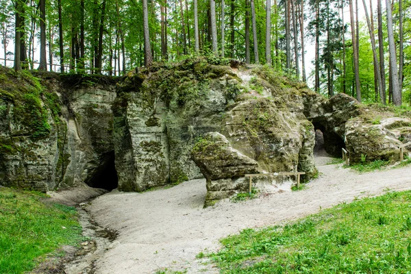 Acantilados de arenisca en el parque nacional de Gauja — Foto de Stock