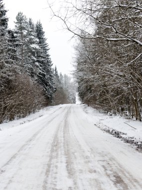 Boş yol kırsal kış