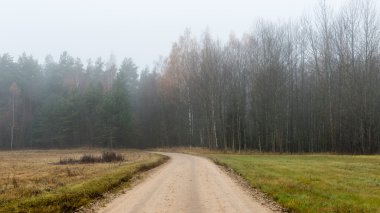 sonbaharda kırsalında boş yol