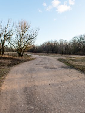 sonbaharda kırsalında boş yol
