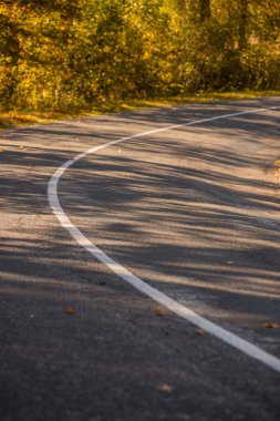 sonbaharda kırsalında boş yol