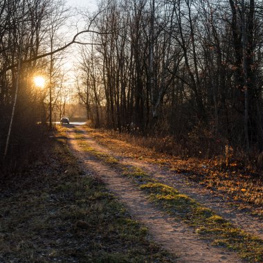 sonbaharda kırsalında boş yol