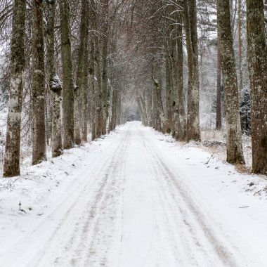 Boş yol kırsal kış