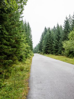 sonbaharda kırsalında boş yol