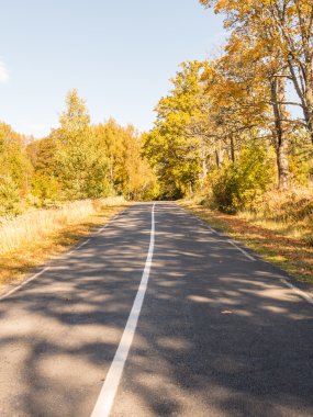 sonbaharda kırsalında boş yol