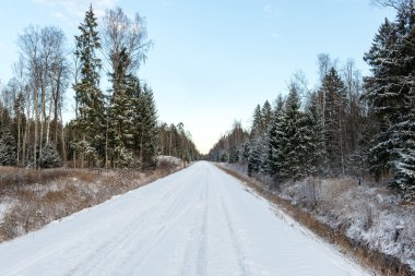 Boş yol kırsal kış