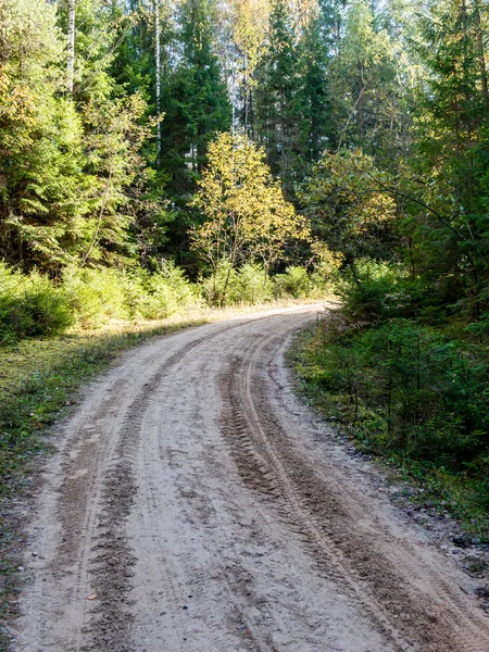 Camino vacío en el campo en otoño —  Fotos de Stock