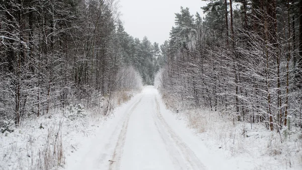 Camino vacío en el campo en invierno — Foto de Stock