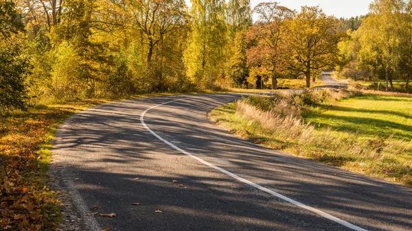 Camino vacío en el campo en otoño — Foto de Stock