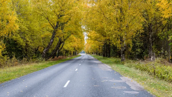 Sonbaharda kırsalında boş yol — Stok fotoğraf