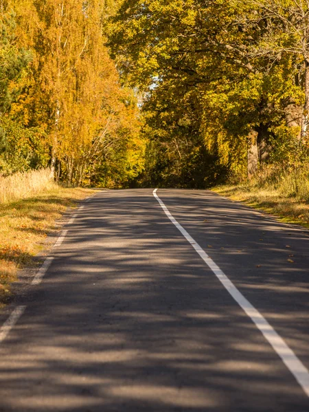Üres road, őszi vidéken — Stock Fotó