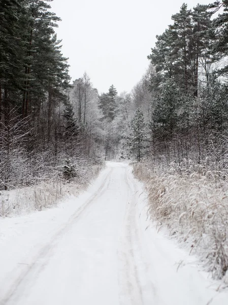 Üres road, téli vidéken — Stock Fotó