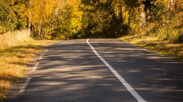 Camino vacío en el campo en otoño — Foto de Stock