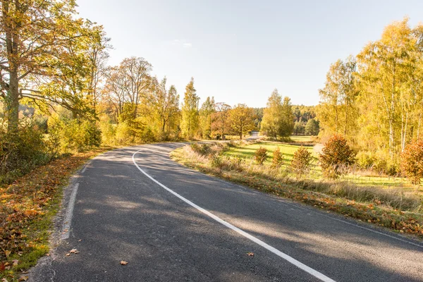 Sonbaharda kırsalında boş yol — Stok fotoğraf