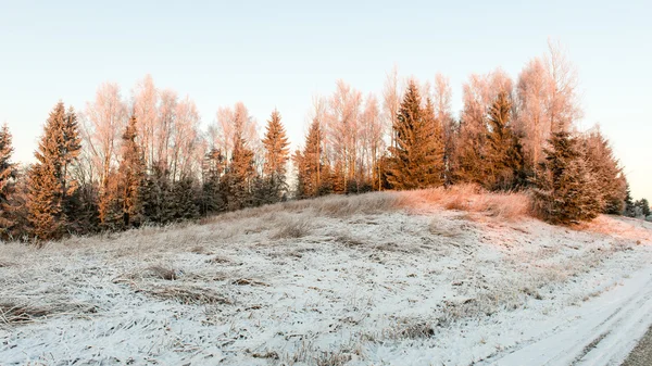 Estrada vazia no campo no inverno — Fotografia de Stock