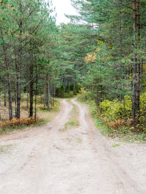 sonbaharda kırsalında boş yol